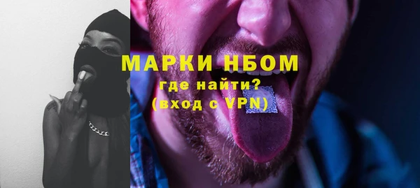 СК Бронницы