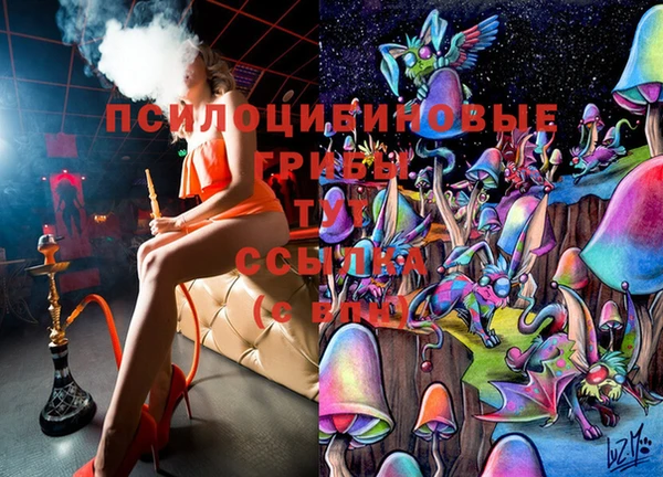 СК Бронницы