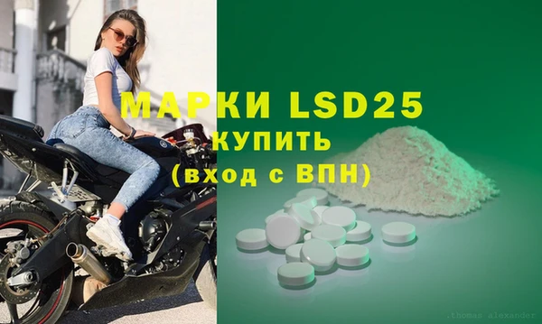 СК Бронницы