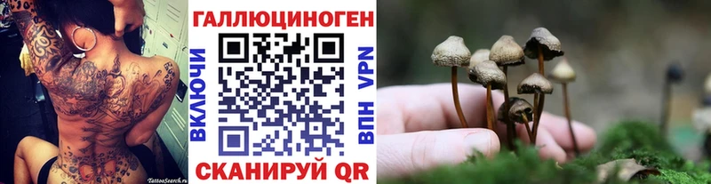 Псилоцибиновые грибы Psilocybine cubensis  Купить где  Морозовск 